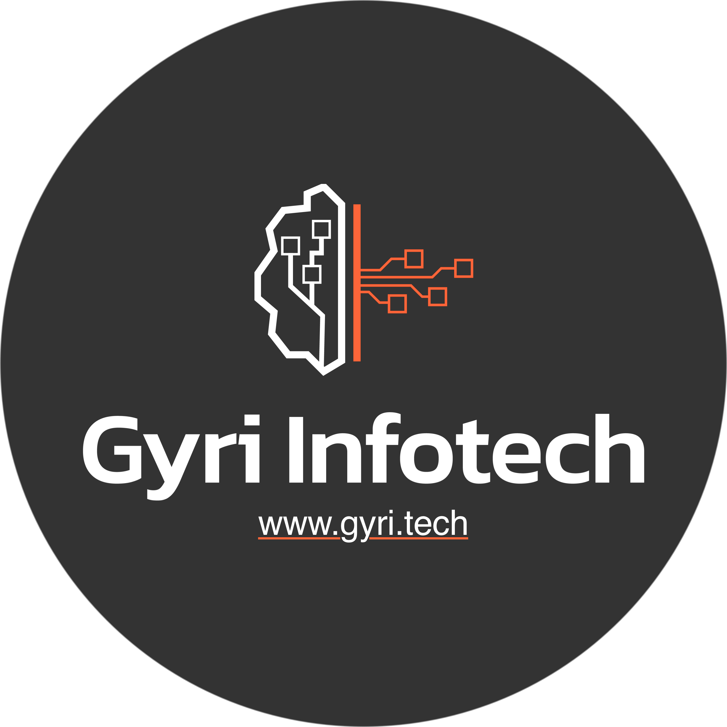 Gyri Infotech